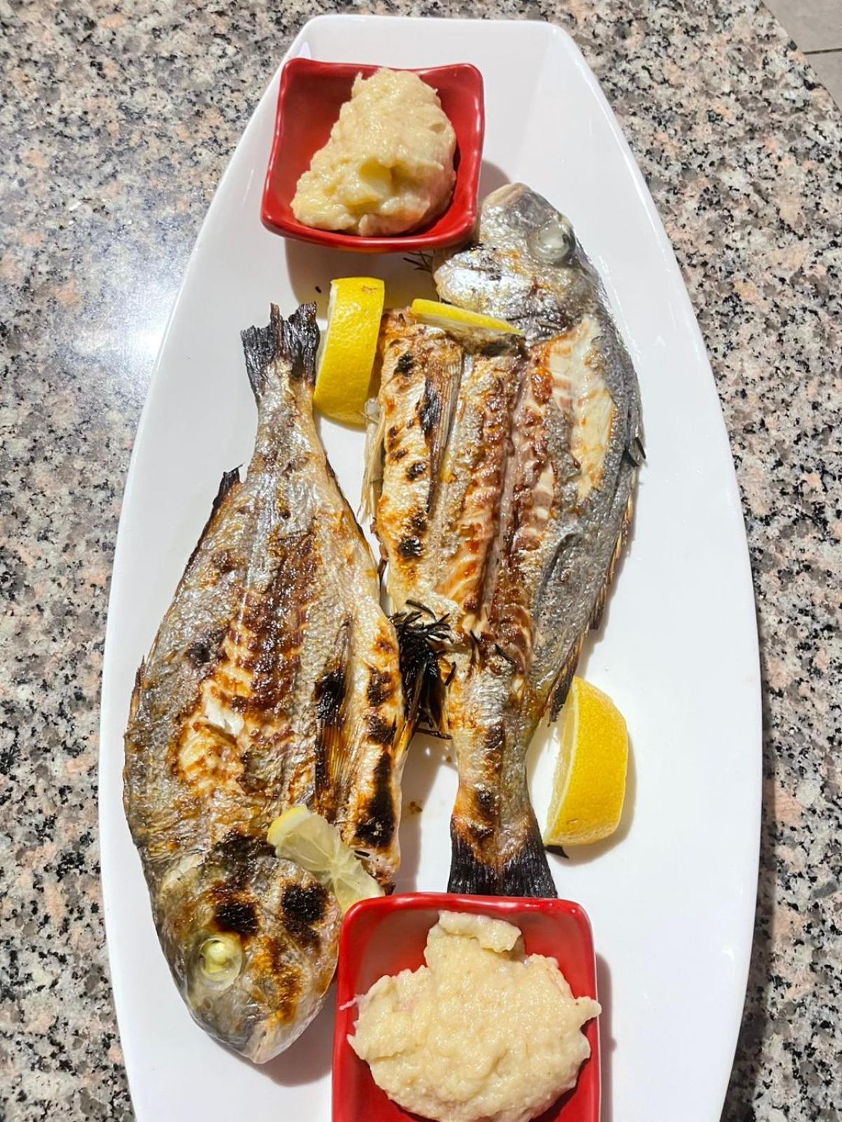 מלון Maxola'S Dream אוריקום מראה חיצוני תמונה